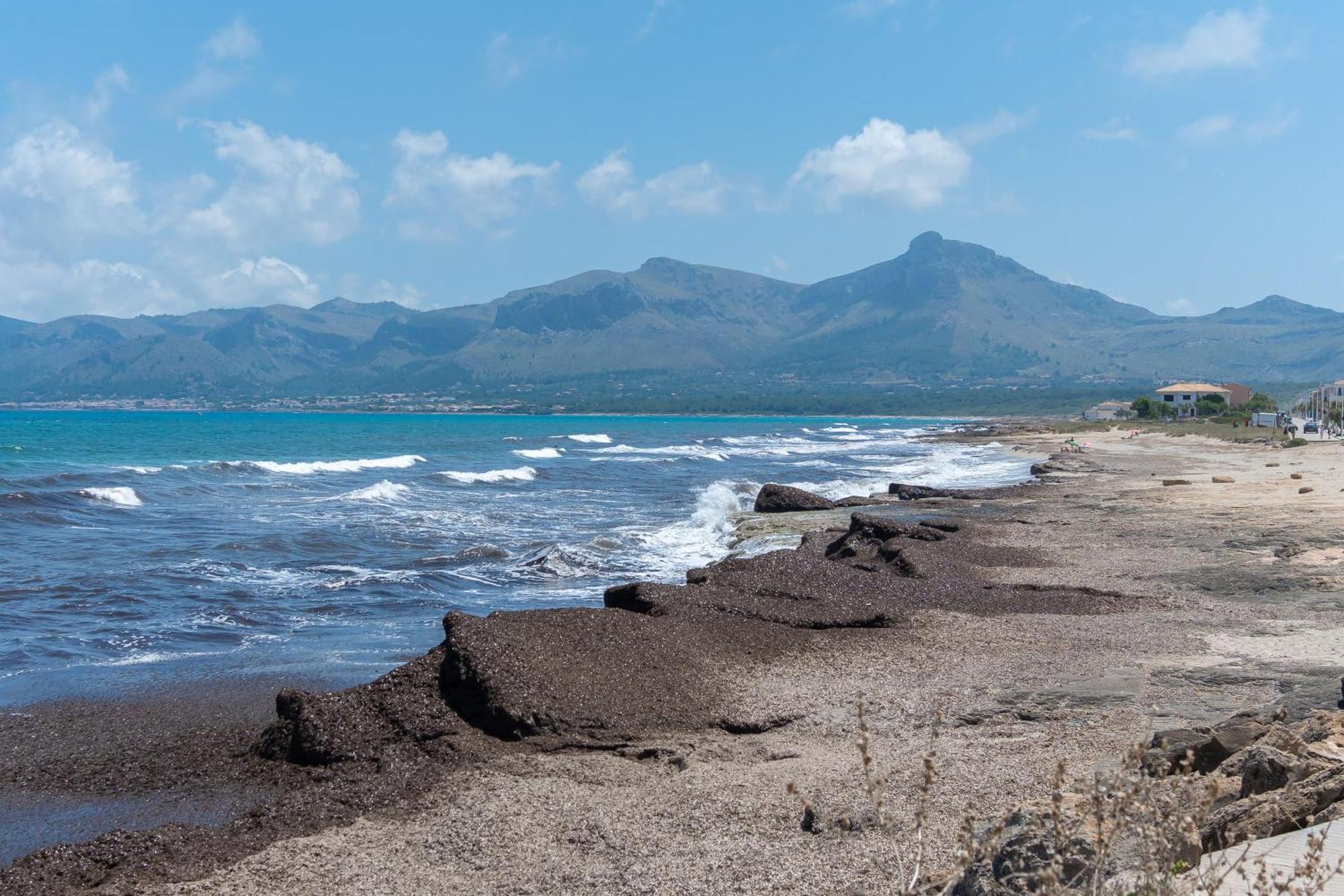 Jaitit Son Serra By Mallorca Selection Son Serra de Marina